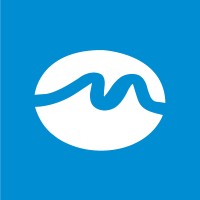Metaveiro - Segurança e Telecomunicações
