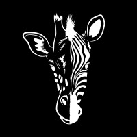 Giraffes4Zebras