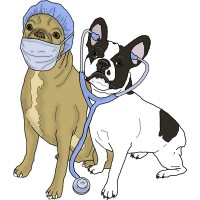 Pittsfield Veterinary Hospital