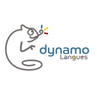 Dynamo formation international
