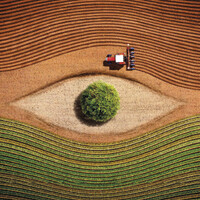 SeedFuture