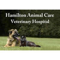 Hamilton Animal Care Veterinary Hospital