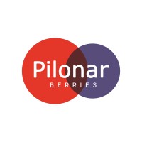 PILONAR BERRIES