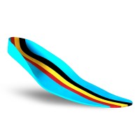 BORGinsole