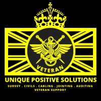Unique Positive Solutions LTD