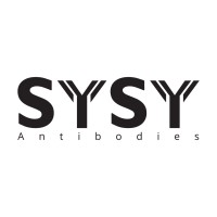 SYSY Antibodies
