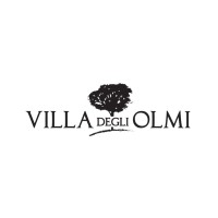 Villa Degli Olmi S.p.A.