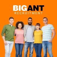 BIG ANT recruitment solutions