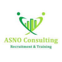 ASNO Consulting