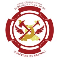 Bombeiros do Concelho de Espinho