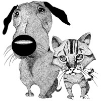 Village Veterinary Practice