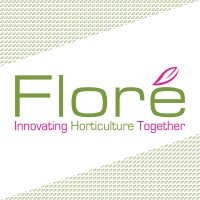 Floré Groep