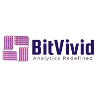 Bitvivid Solutions