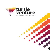 Turtle Venture