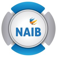 NAIB IT