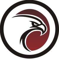 Falcon Infosystems