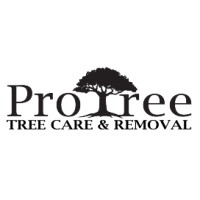 Pro Tree Service