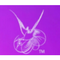 Graphics & Art