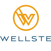 Wellste Aluminum