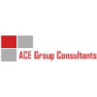 ACE Group Consultants LLC