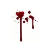 Forensic Insight Consulting, LLC