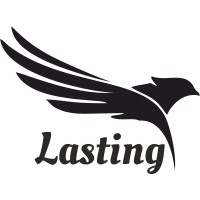 Lasting Software Pvt. Ltd.
