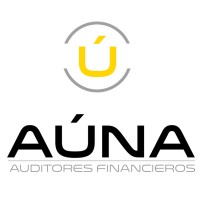 Aúna Auditores Financieros