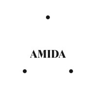 Grupo Amida