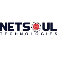 Netsoul Technologies