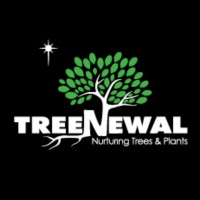 TreeNewal Certified Arborist