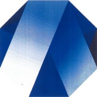 Apaitek Technology南京亚派科技股份有限公司