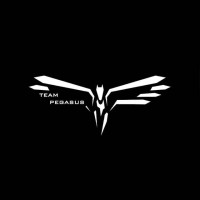 Team Pegasus | The Aerodynamics Club
