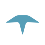 TRADINSA Depot Equipment | CAF Group