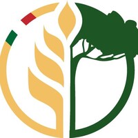 Pineta srl
