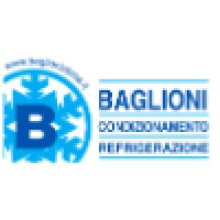 Baglioni S.r.l.