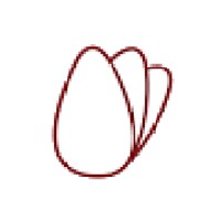 The Nutrition Professionals