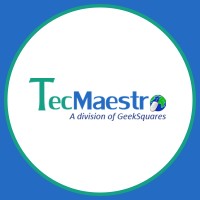 TecMaestro IT Solutions Pvt. Ltd.