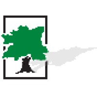 Green Tree Coffee and Tea