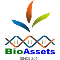 BioAssets Corporation