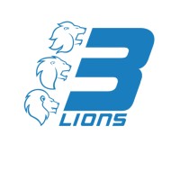 Three Lions Group