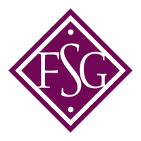 Financial Synergistics Group, Inc.