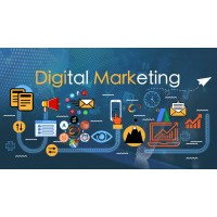 Leading Light IT Freelancing School