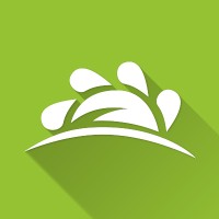 MV Consulting
