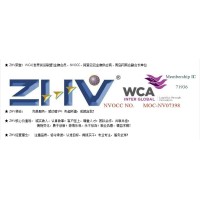 Qingdao ZHV International Logistics Co., Ltd