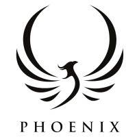Phoenix Youth and Family Services, Inc.