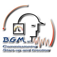 B.G.M. SRL