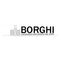 BORGHI LAVORAZIONI MECCANICHE - S.R.L.
