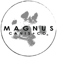 MAGNUS Canis + Co.