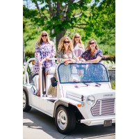 The SUMMER PERRY Group