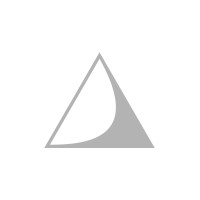 Triton Consulting Group, Inc.